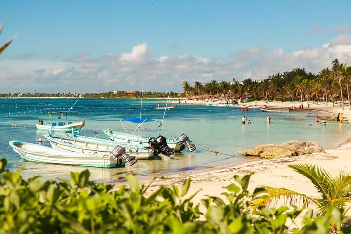 Snorkel with Turtles and Swim a Cenote — Private Akumal Half-Day Adventure photo 3