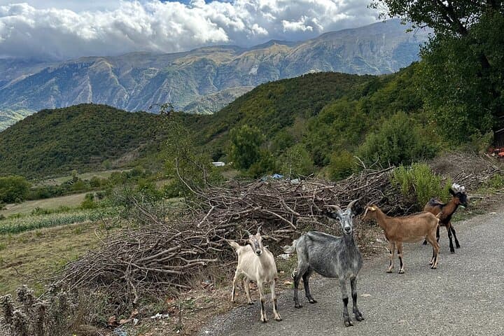 3-Day Private Adventure in Albania: Tirana to Gjirokastër, Vjosa & Permet photo 4