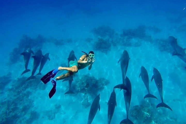 Dolphin House Snorkel Trip from Hurghada: Red Sea Day Cruise photo 6