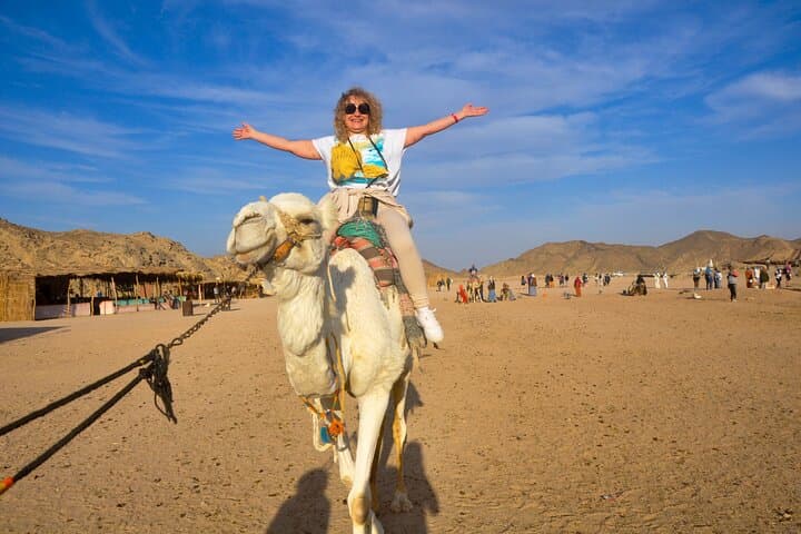 One-Hour Camel Ride in Marsa Alam Desert — Authentic Bedouin Experience photo 3