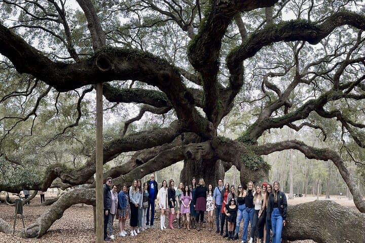 Bus Tour in Wadmalaw Island, South Carolina