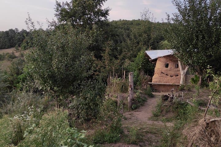 Permaculture and Homestead Tour in Șardu: Hands-On Sustainable Farming Near Cluj-Napoca