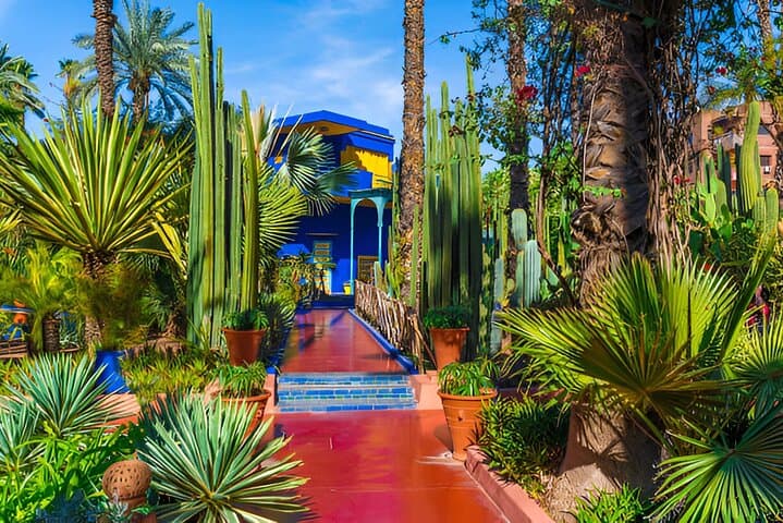 Majorelle to Anima: Marrakech Garden Escape with Round-Trip Transfer photo 3