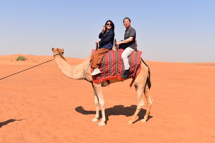 Dubai Red-Dune Safari: Half-Day Sunset, Camels & Dune Bashing photo 3