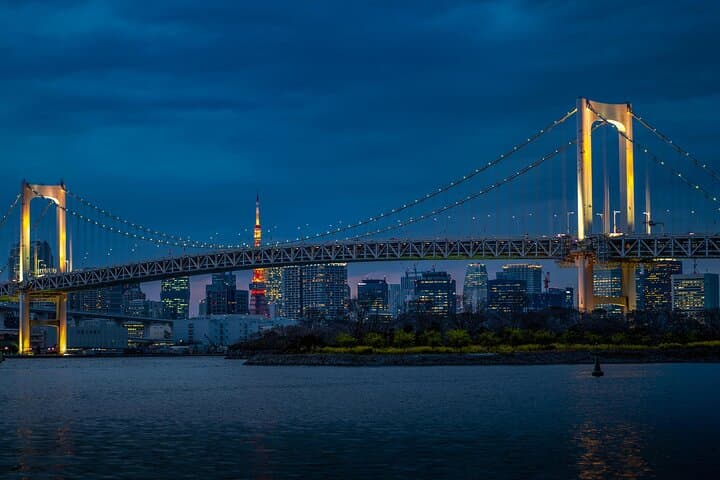 Private Tokyo Highlights Full-Day City Tour with English Guide