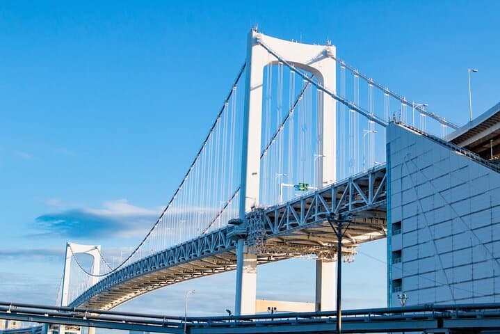 Private Tokyo Highlights Full-Day City Tour with English Guide photo 2