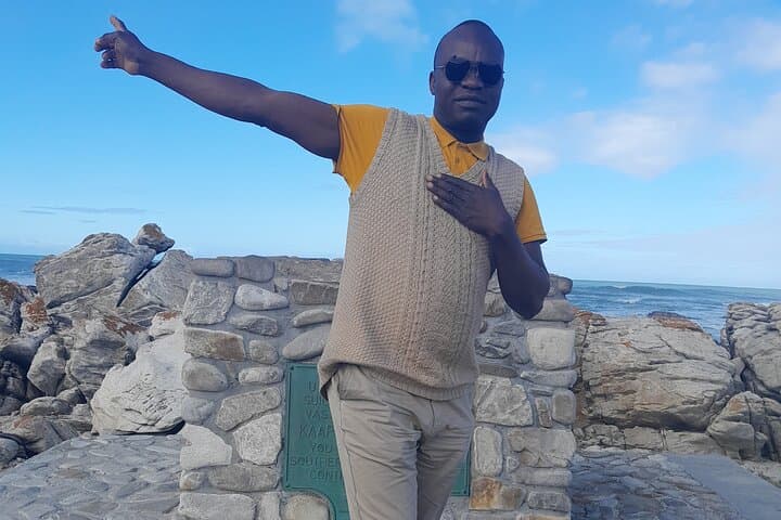 Cape Agulhas Southern Point Private Tour: Penguins, Whales & Wine from Cape Town photo 4