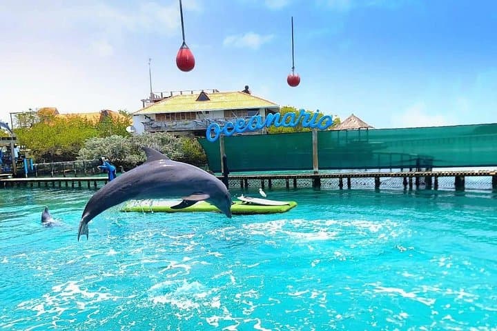Rosario Islands Day Trip: Oceanarium, Snorkel the Plane Wreck & Playa Blanca Lunch photo 1
