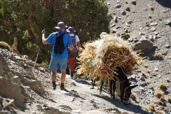 Atlas Mountains Day Trek from Marrakech — Summit Isk (2,600 m) in Toubkal National Park photo 4