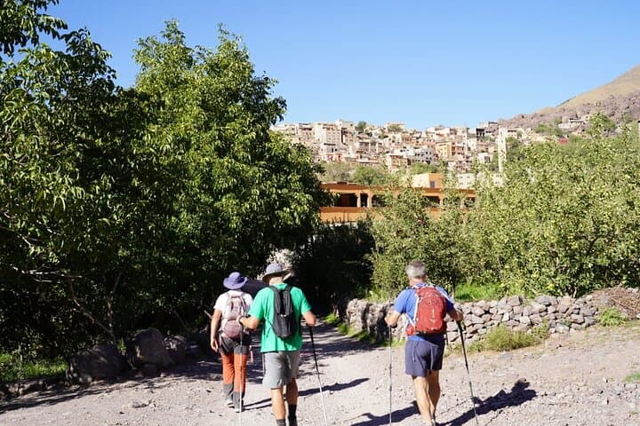 Atlas Mountains Day Trek from Marrakech — Summit Isk (2,600 m) in Toubkal National Park photo 5