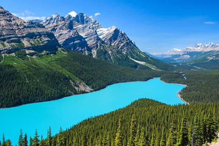 Best of Glaciers Day Tour from Calgary: Peyto, Bow, Emerald & Lake Louise photo 2