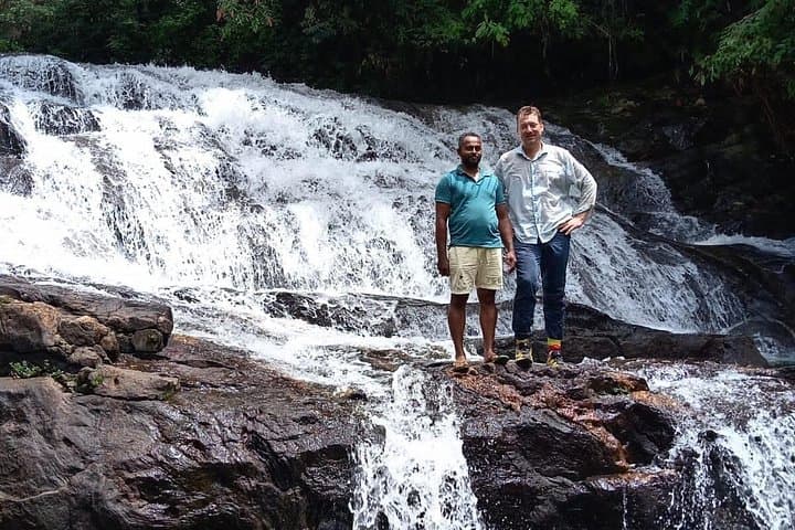 Full-Day Sinharaja Rainforest Trek from Hambantota: Wildlife, Waterfalls & Guided Walks photo 5