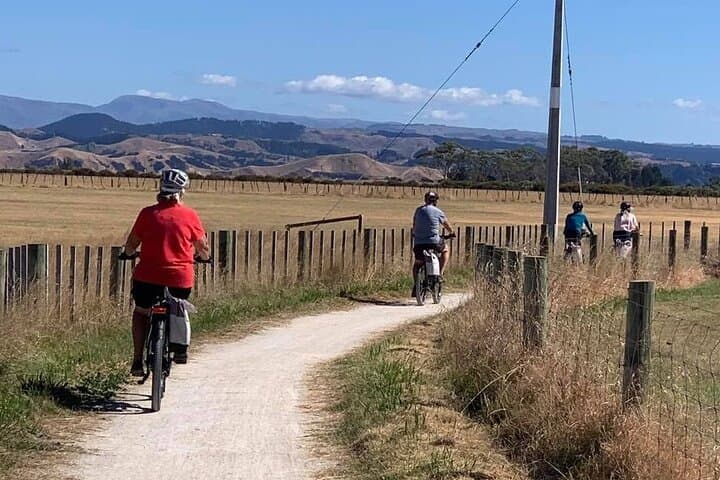 Napier Coastal Wine Cycle: Self-Guided Half-Day Ride to Hawke's Bay Wineries photo 5