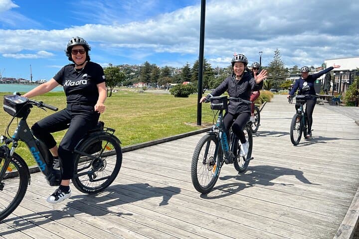Napier Coastal Wine Cycle: Self-Guided Half-Day Ride to Hawke's Bay Wineries