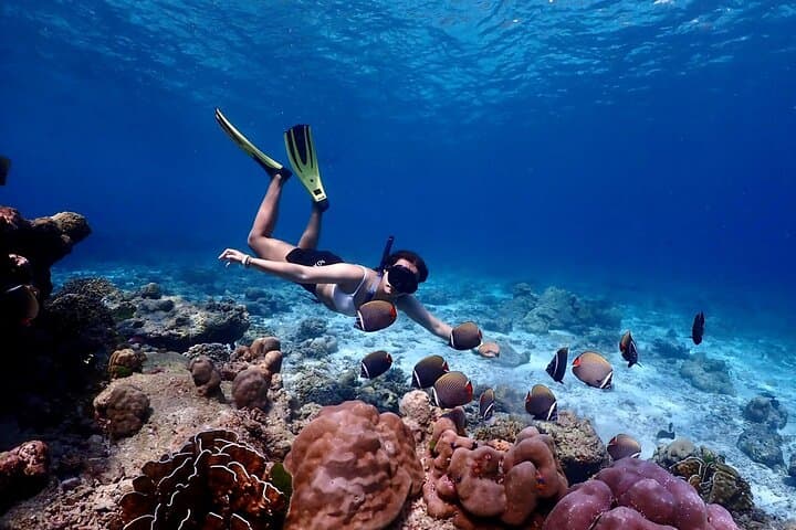 Similan Islands Speedboat Trip from Phuket — Snorkel Sailing Rock & Princess Bay photo 4