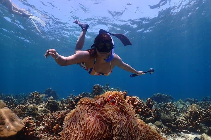 Lazy Similan Snorkeling: Speed Catamaran Day Trip from Phuket photo 5