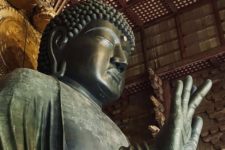 4-Day Kyoto, Nara & Osaka Cultural Walking Tour with a Local Guide photo 3