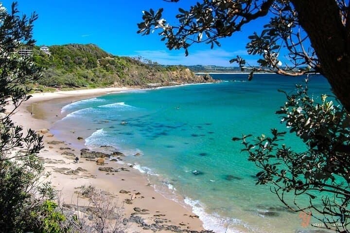 Byron Bay Day Tour: The Farm, Lake Ainsworth & Cape Byron Lighthouse (Chinese Guide) photo 3
