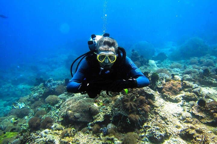 Red Sea Intro Dive from Hurghada — Boat Trip with Lunch & Transfers photo 6