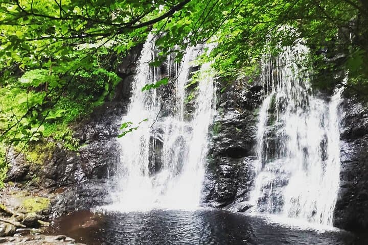 Private Antrim Glens Coastal Tour & Giant's Causeway Day Trip photo 2
