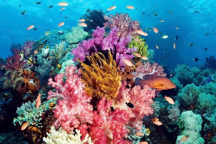 Phu Quoc 3-Island Snorkel Day Trip: Gam Ghi, Fingernail & May Rut photo 2