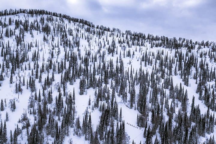Backcountry Ski Touring on the Alatau Ridge: One-Day Guided Tour from Almaty photo 4