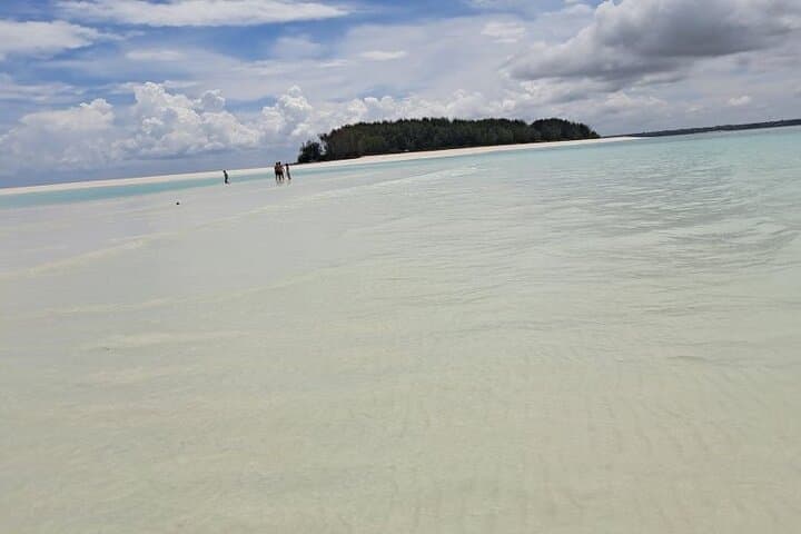 Mnemba Island Snorkeling & Dolphin Swim — Full-Day Marine Adventure photo 2