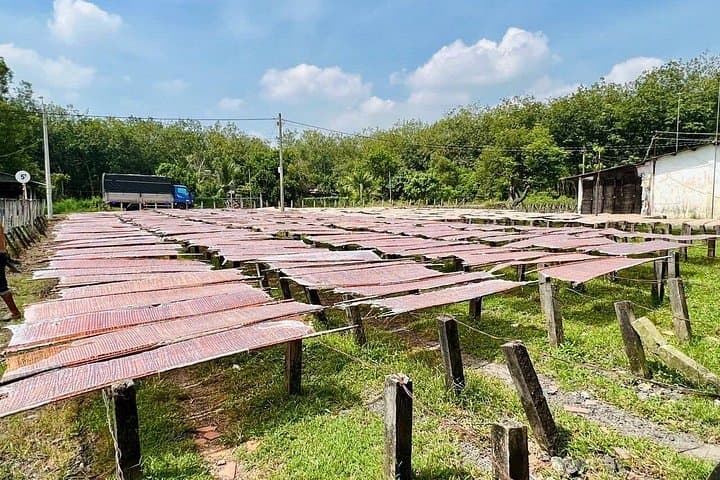 Cycle to Cu Chi Tunnels: 20–25km Rural Ride & Historic Tunnel Experience from Ho Chi Minh photo 3