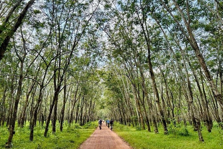 Cycle to Cu Chi Tunnels: 20–25km Rural Ride & Historic Tunnel Experience from Ho Chi Minh photo 1