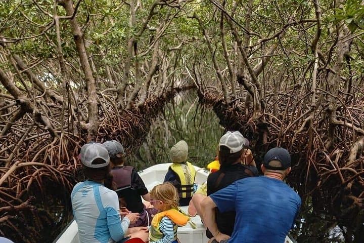 Roatan East Side Mangrove Tunnels & French Cay Snorkel Adventure