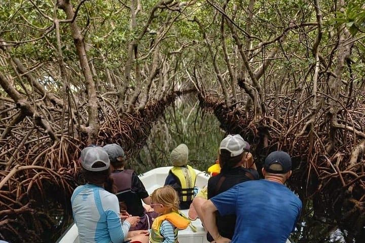 Roatan East Side Mangrove Tunnels & French Cay Snorkel Adventure photo 2