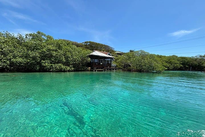 Roatan East Side Mangrove Tunnels & French Cay Snorkel Adventure photo 3