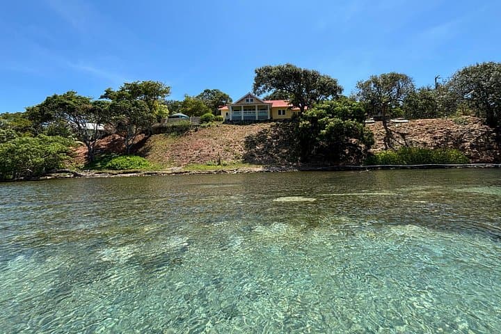 Roatan East Side Mangrove Tunnels & French Cay Snorkel Adventure photo 4