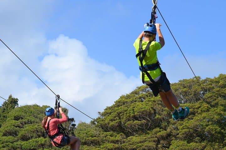 Magaliesberg Canopy Tour: Zipline Through Ysterhout Kloof (From Johannesburg) photo 4