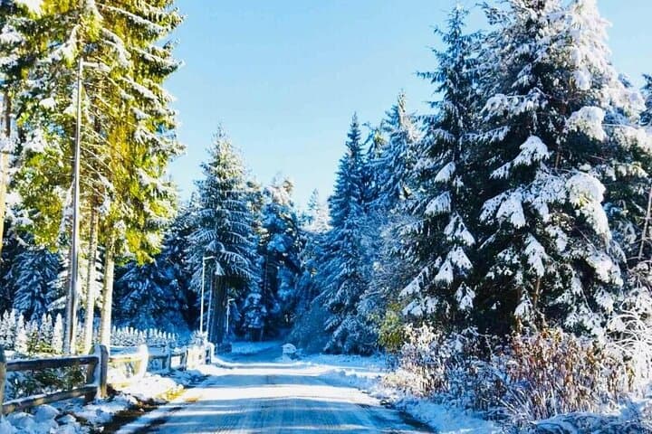 Ski Borovets Day Tour from Sofia: Slopes, Thermal Pools & Sauna photo 3