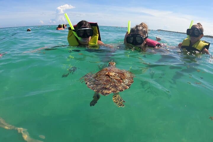 Swim with Sea Turtles and Explore Two Cenotes: Akumal to Tulum Day Tour photo 2