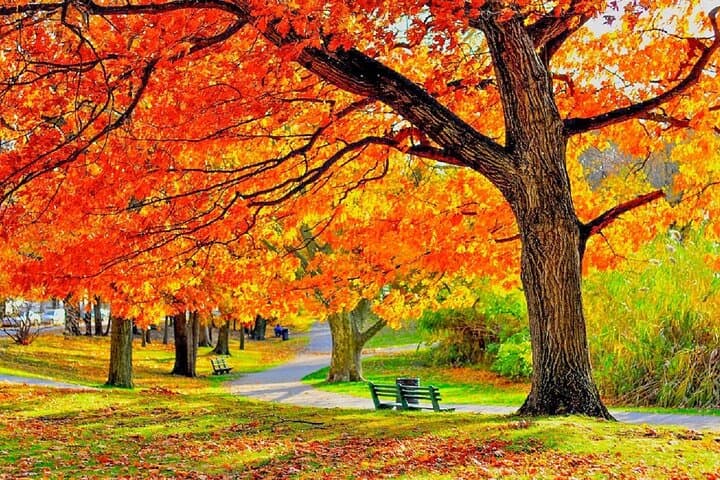 Chicago to Milwaukee Day Tour — Harley-Davidson, Brewery Tasting & Autumn Foliage Upgrade photo 4