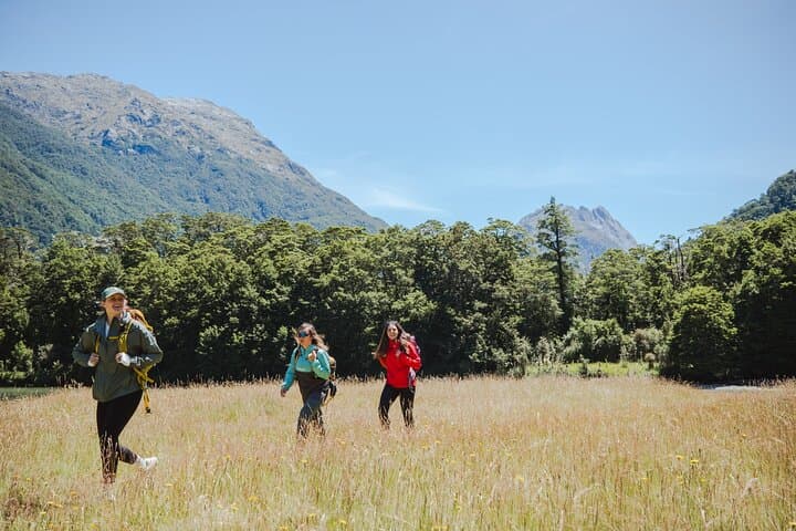 Milford Track Day Walk: Lake Te Anau Water Taxi to Glade Wharf photo 5