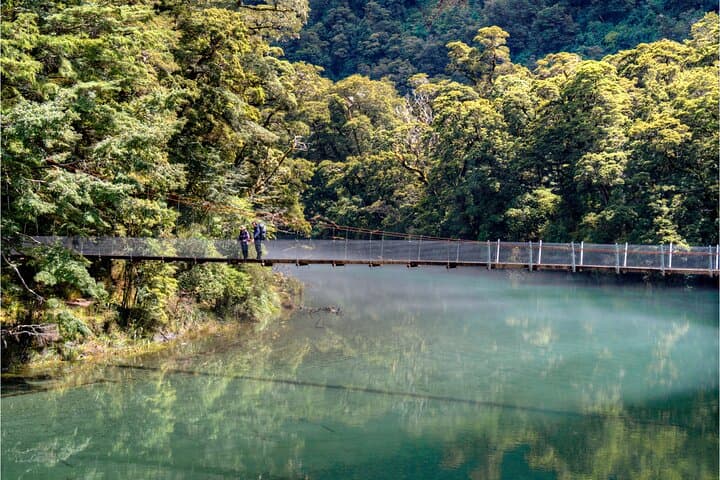 Milford Track Day Walk: Lake Te Anau Water Taxi to Glade Wharf photo 6