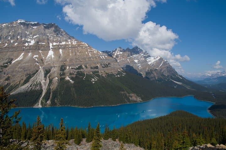 Banff Private Day Tour: Lake Louise, Moraine & Peyto Lake Highlights photo 3