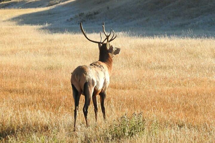 Private Banff Full-Day Guided Tour: Johnston Canyon, Sulphur Gondola & Banff Highlights photo 5