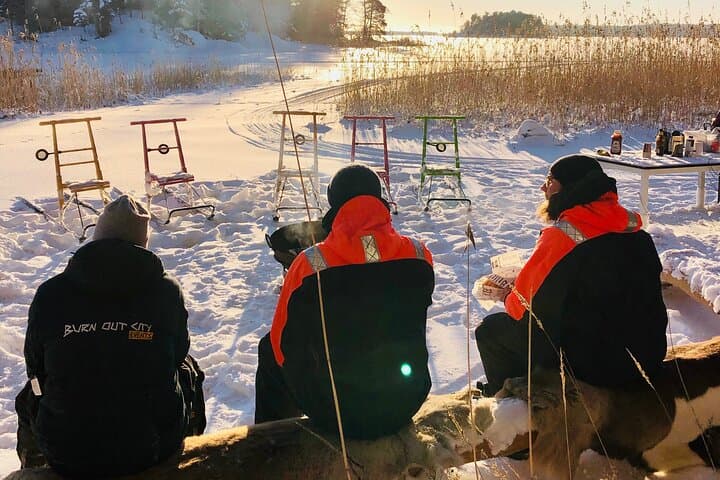 Snowmobile Tour and Glass Igloo Experience near Helsinki photo 4