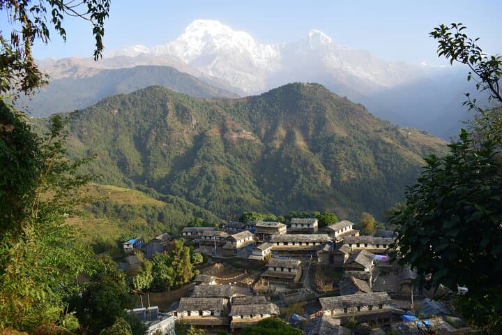 Ghorepani Ghandruk Wellness Yoga Trek — Annapurna Sunrise, Culture & Yoga photo 3