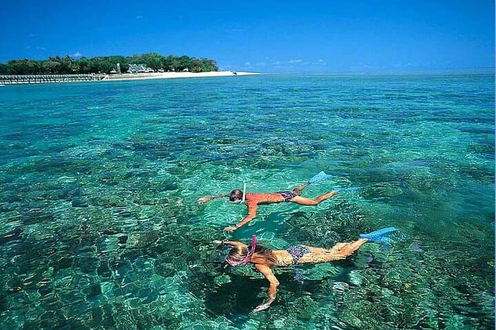 Cu Lao Cham Island Snorkeling & Swimming Day Tour from Hoi An