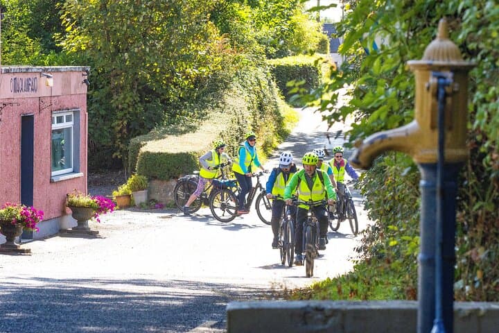 eBike the Arra Hills and Lough Derg Shore: Guided Ride from Garrykennedy