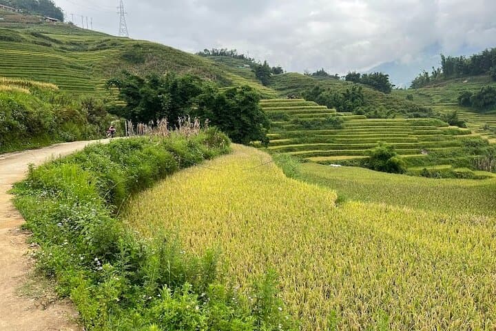 Hidden Villages Trek: Hau Thao, Hang Da & Sa Seng Trekking in Sapa photo 3