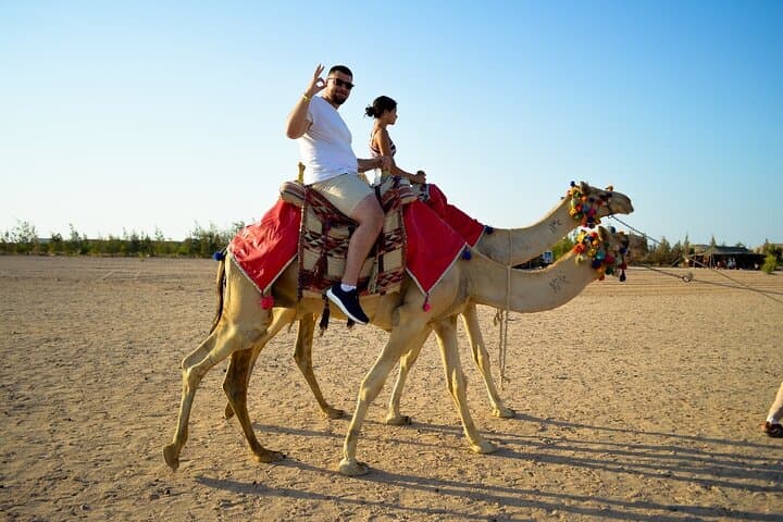 Hurghada Sunset Camel Ride and Jeep Desert Adventure with Stargazing