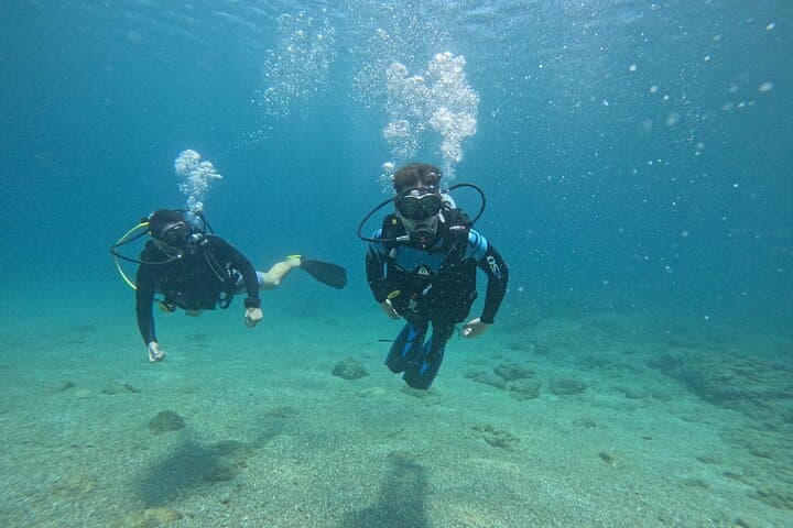 Beginner Scuba Diving in Saronida: Discover Mediterranean Reefs photo 2