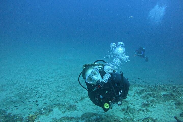 Beginner Scuba Diving in Saronida: Discover Mediterranean Reefs photo 5