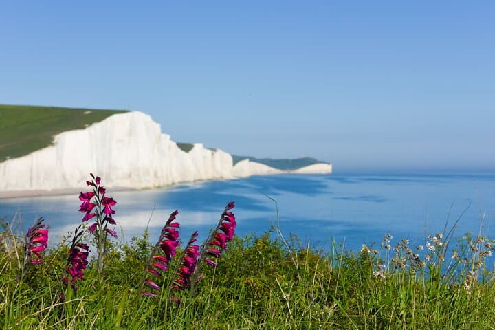 Seven Sisters & Brighton Day Trip from London — Cliffs, Coast and City photo 2